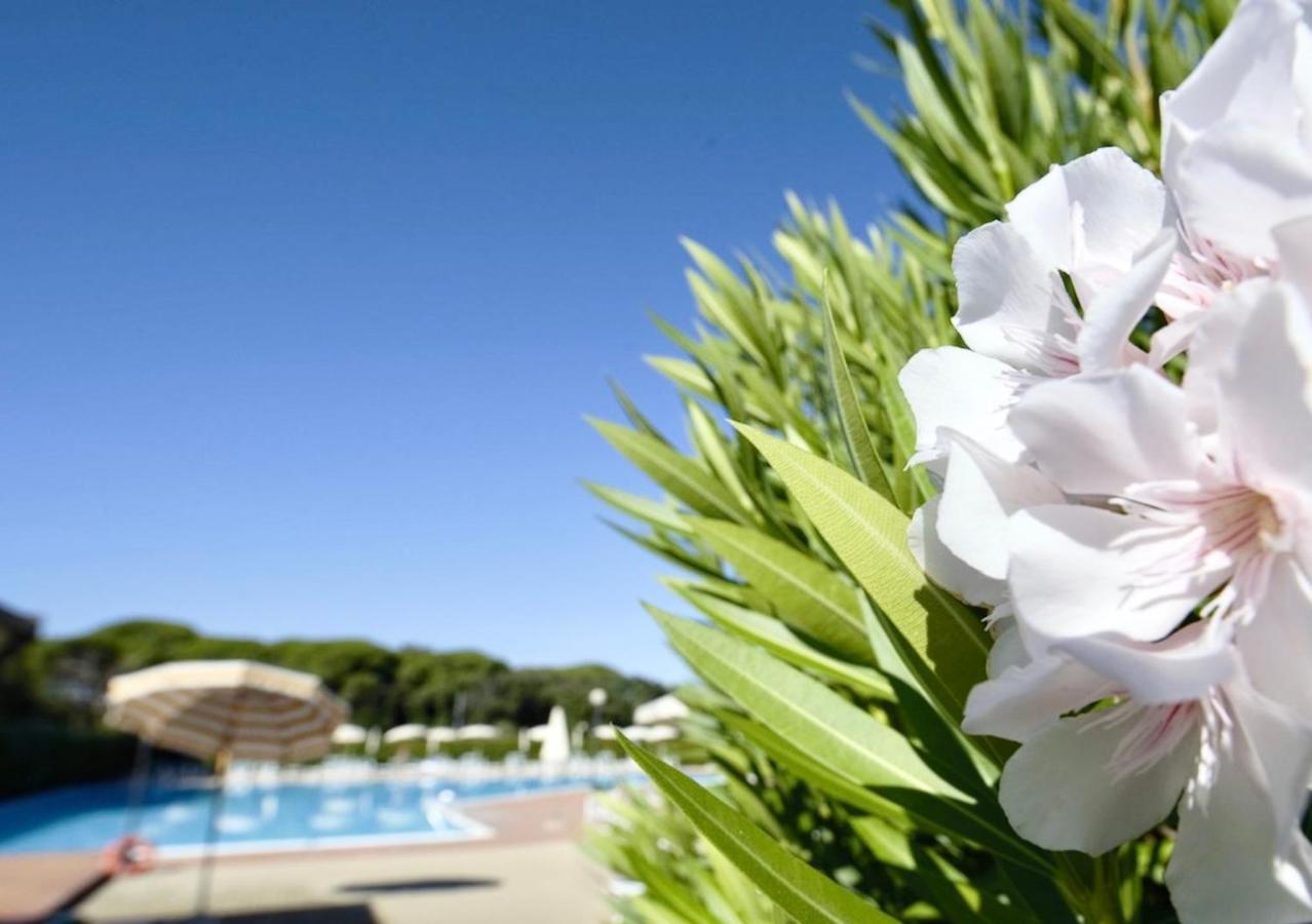 Isa-Apartments 4 Beds In Residence With Swimming-Pool In San Vincenzo, Just 600 Meters From The Sea Екстер'єр фото